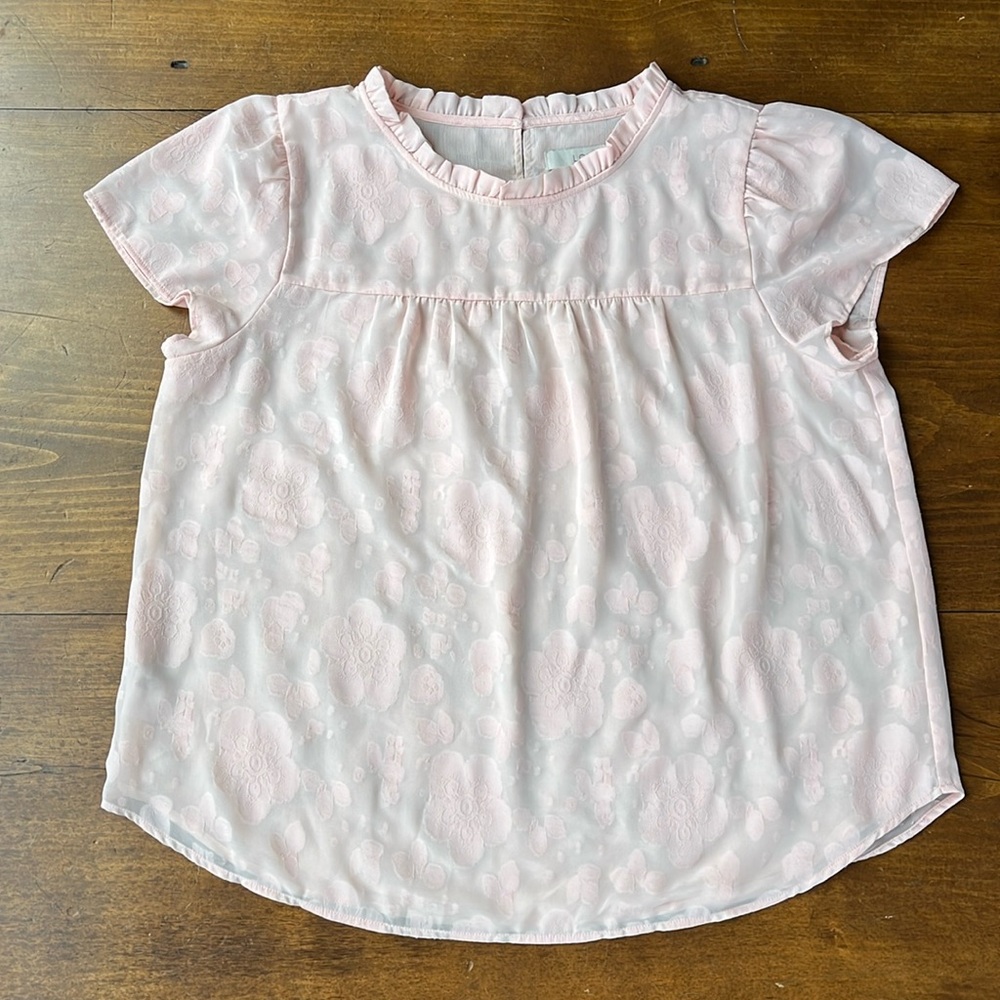 Ann Taylor Pale Pink Blouse Sz XLP